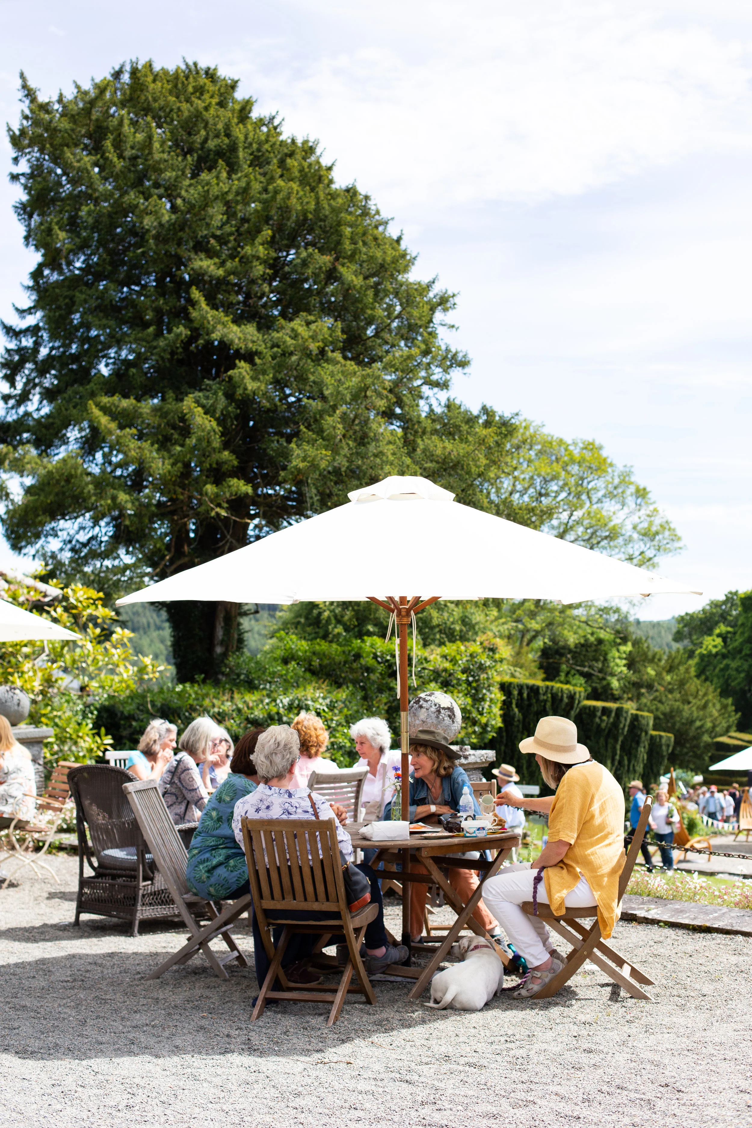 venetianorrington-coombetrenchardgardenfestival-92.jpg