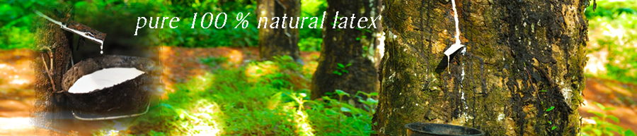 100 Natural Latex