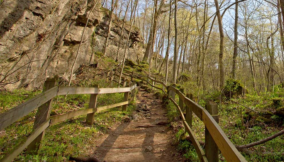 Clifton Gorge