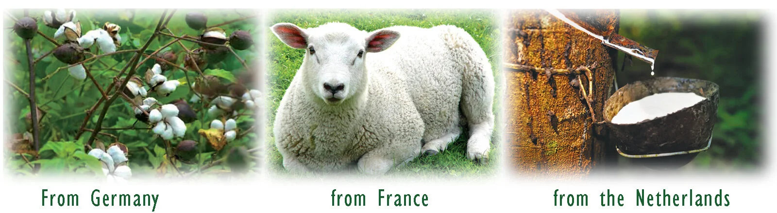 cottonwoollatex.jpg