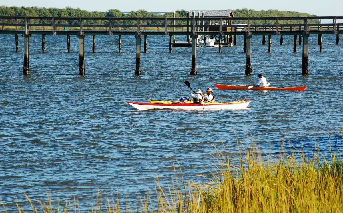 dsc_0222.jpg