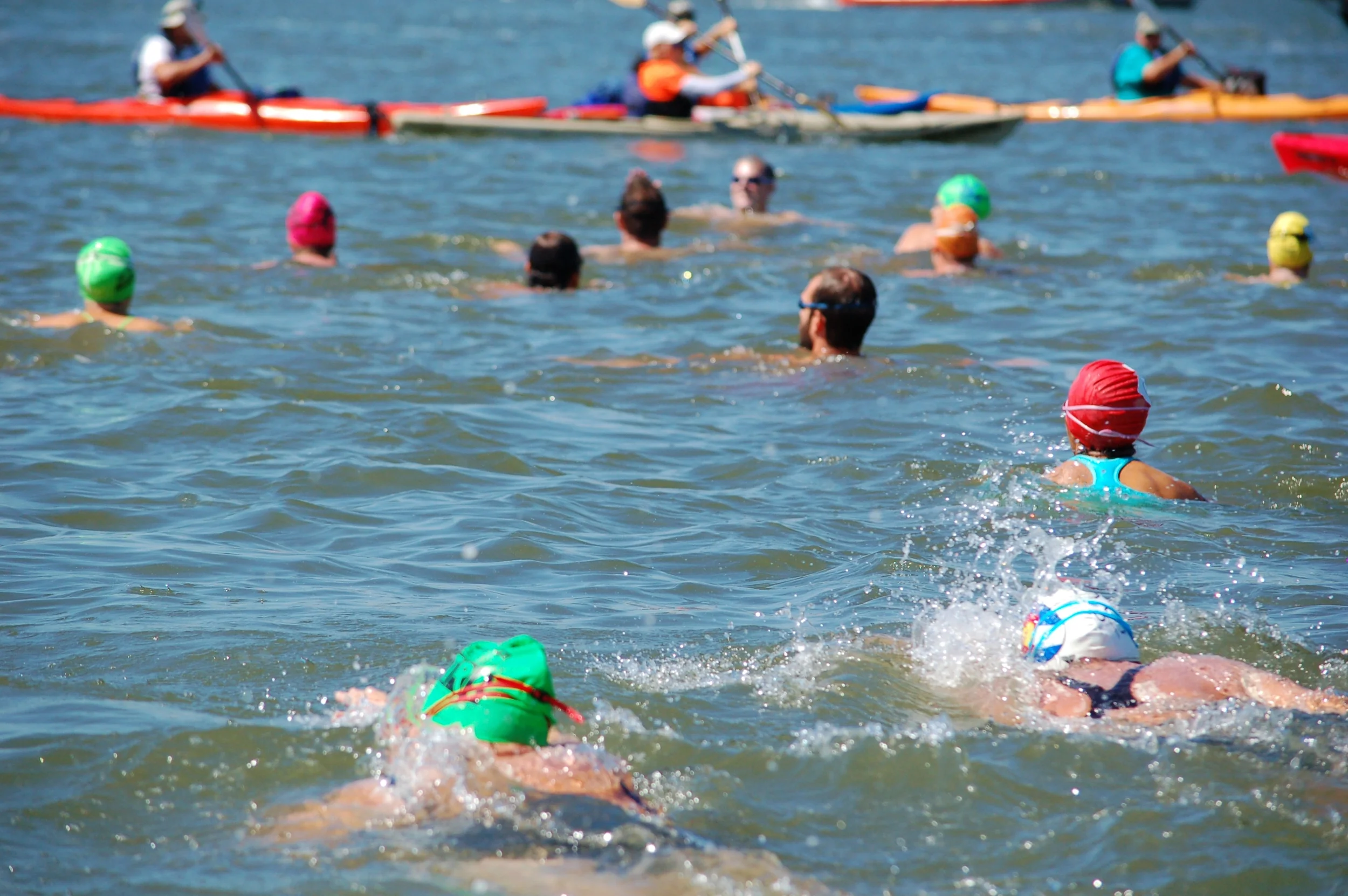SAC 2014 (91).jpg