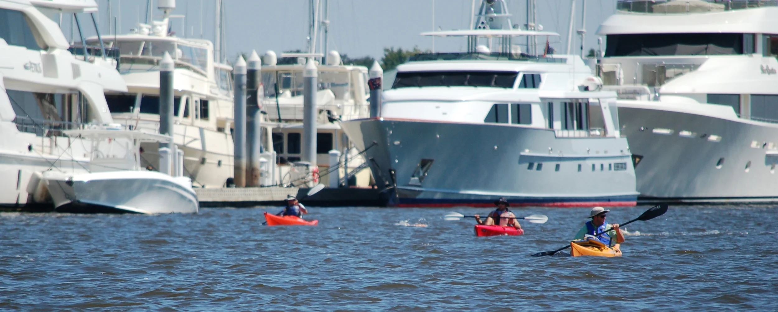 SAC 2014 (319).jpg