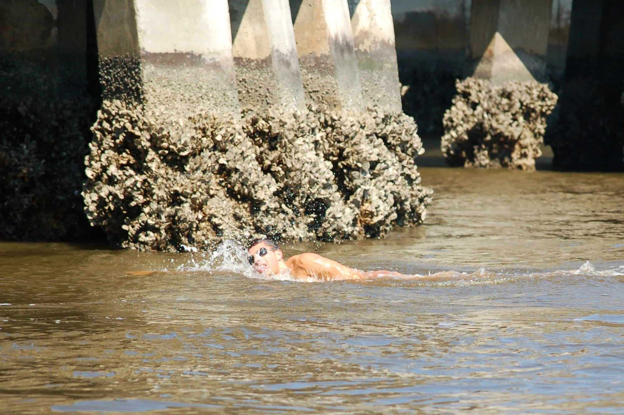SAC 2014 (391).jpg
