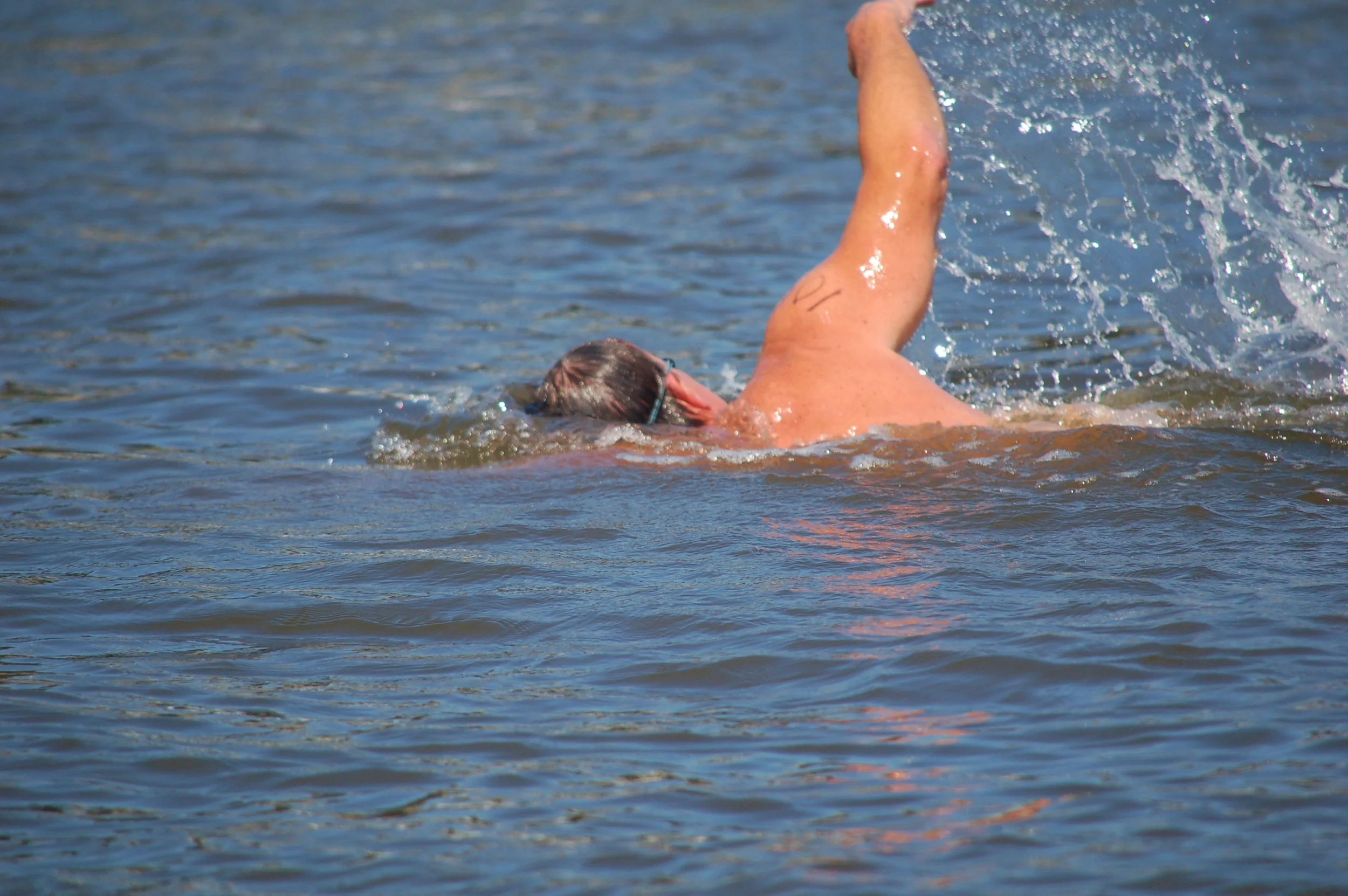 SAC 2014 (427).jpg