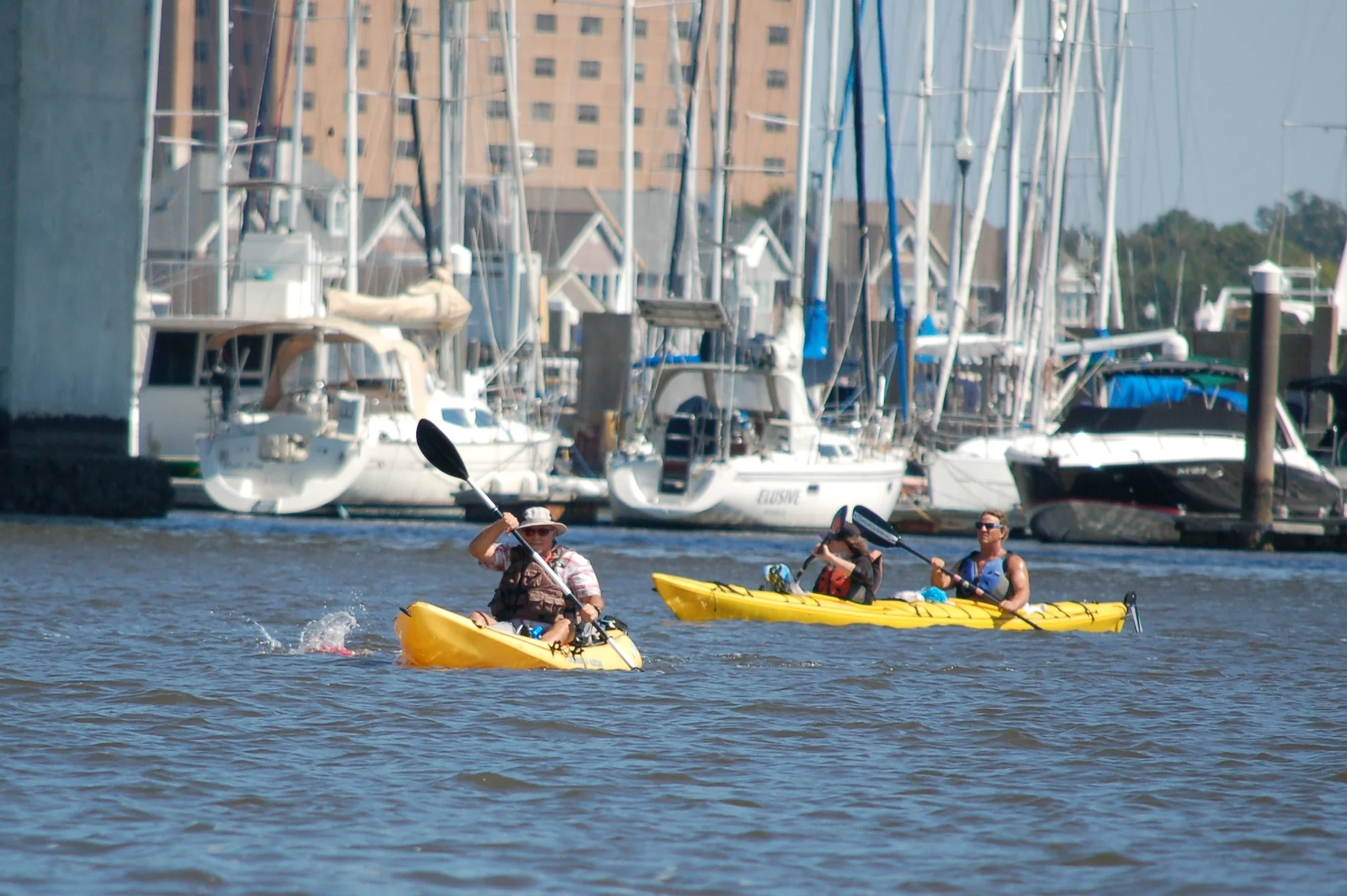 SAC 2014 (438).jpg