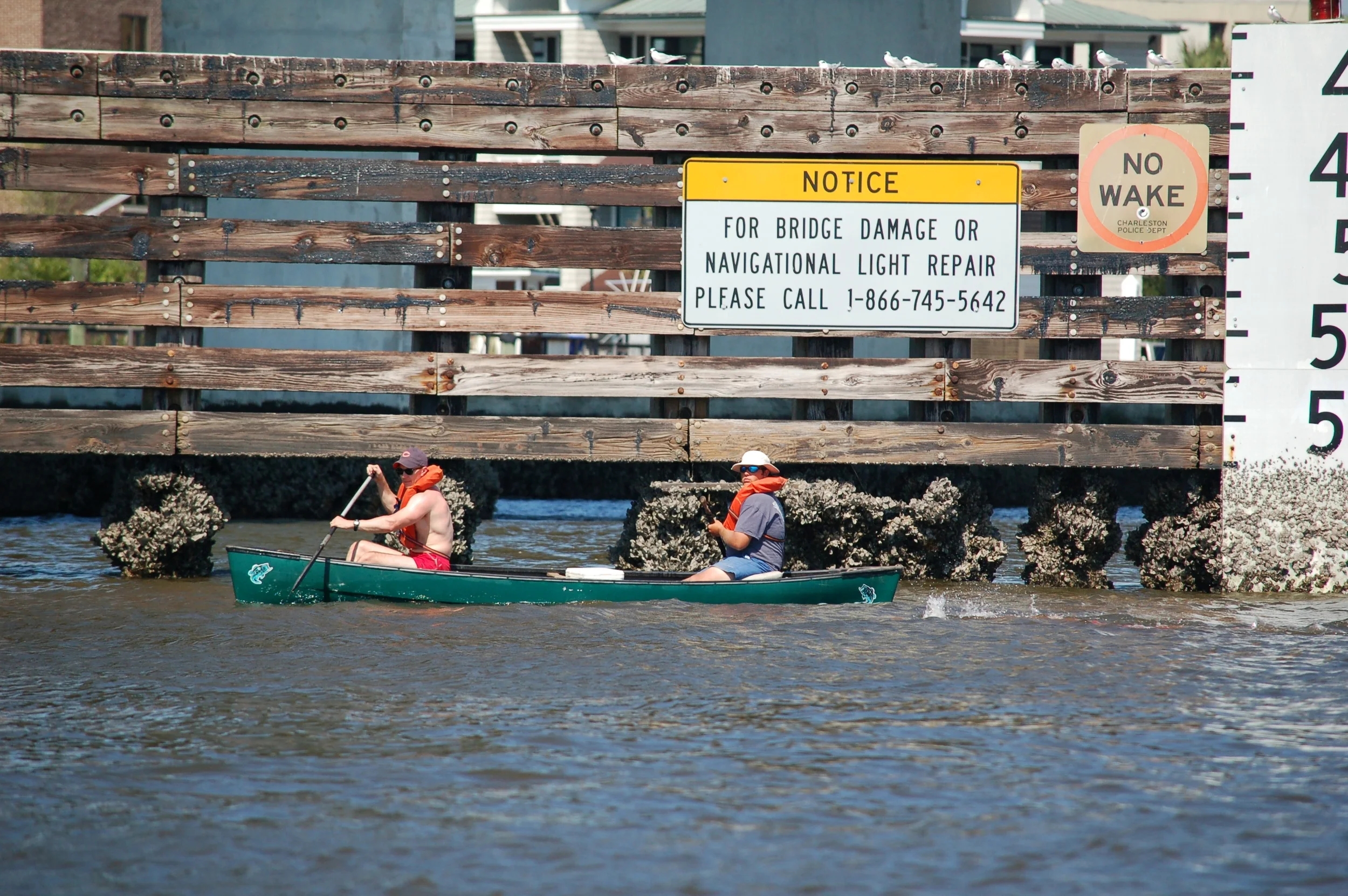 SAC 2014 (459).jpg