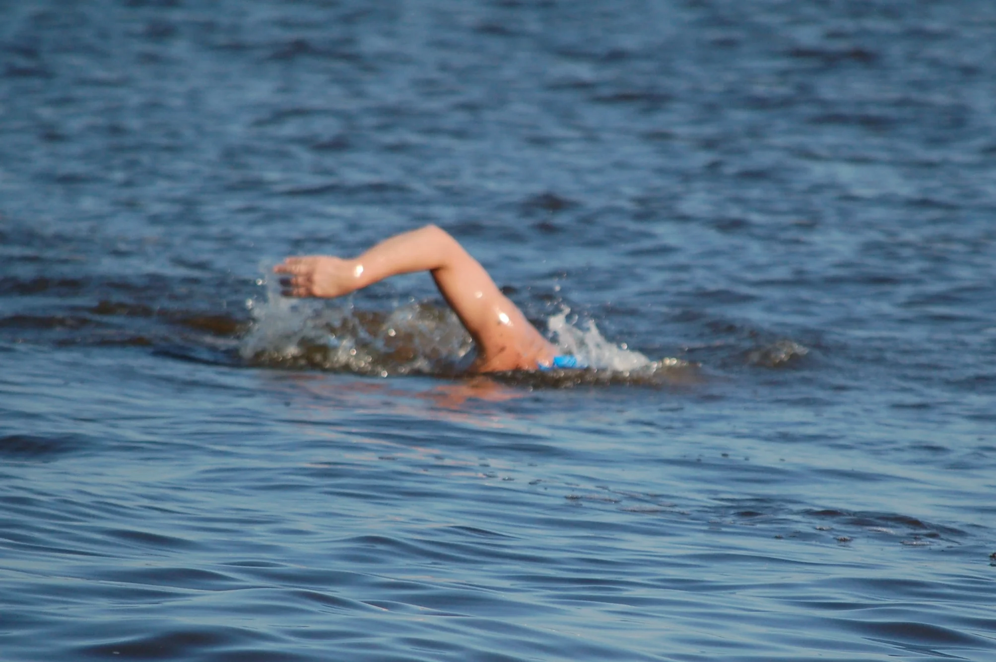 SAC 2014 (667).jpg