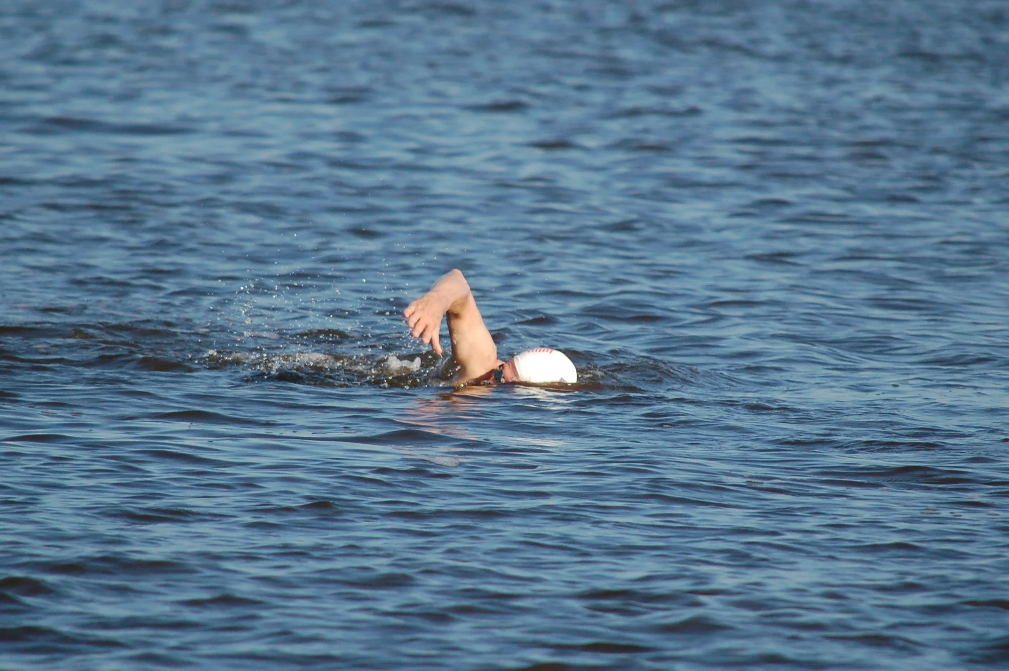 SAC 2014 (734).jpg