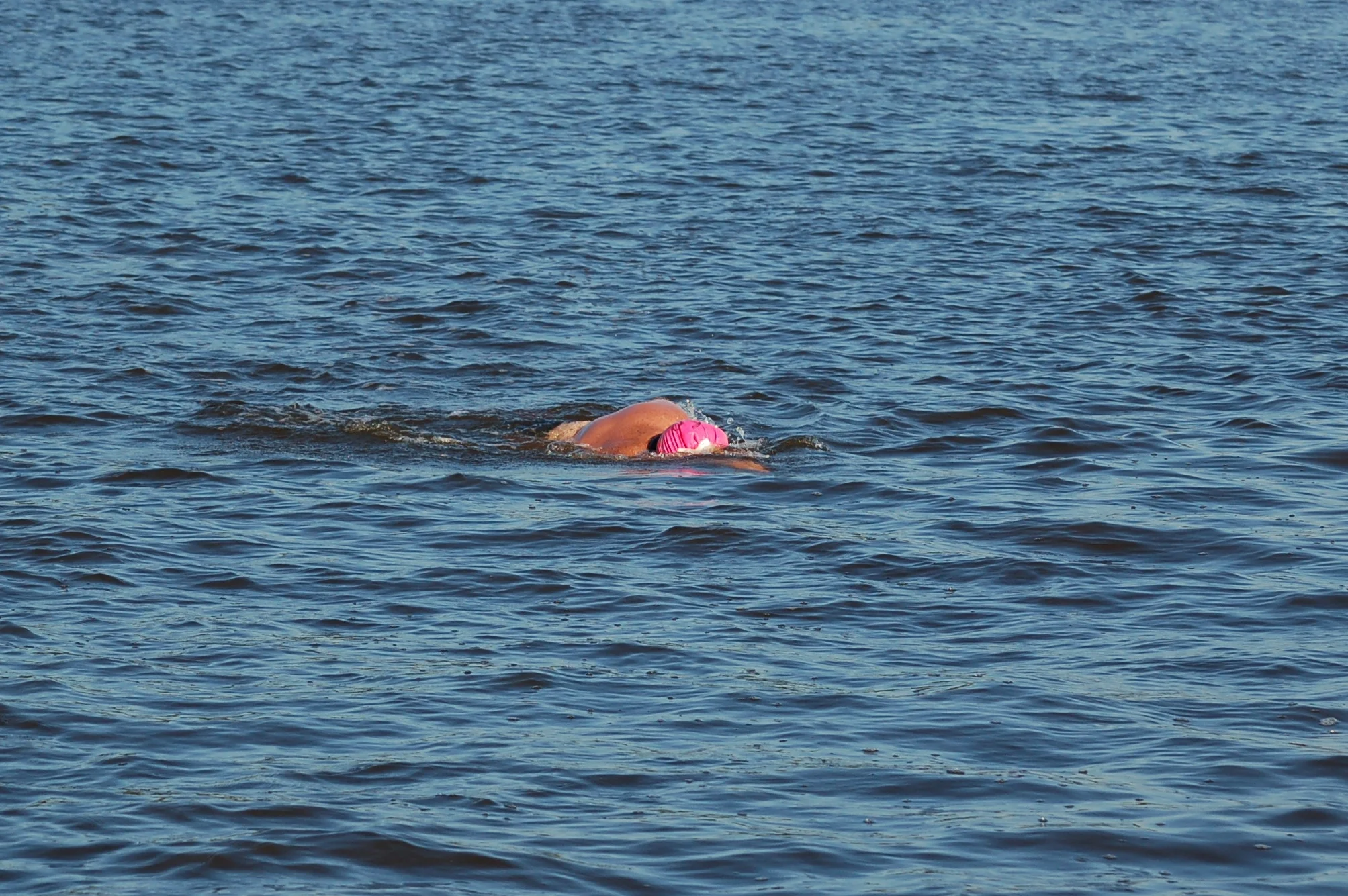SAC 2014 (764).jpg