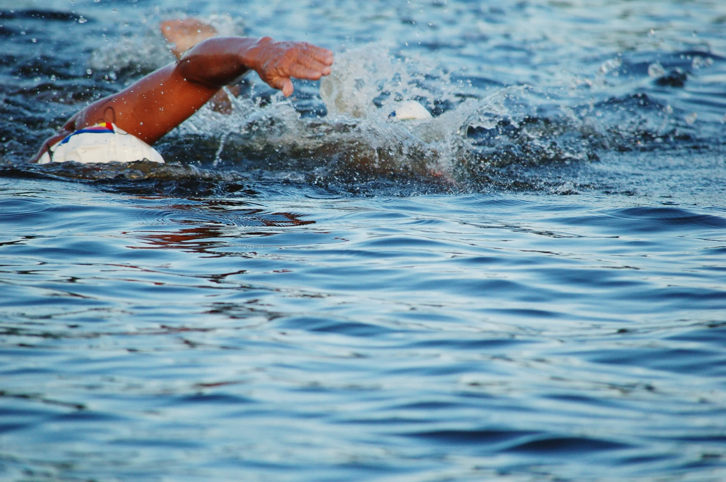 SAC 2014 (807).jpg