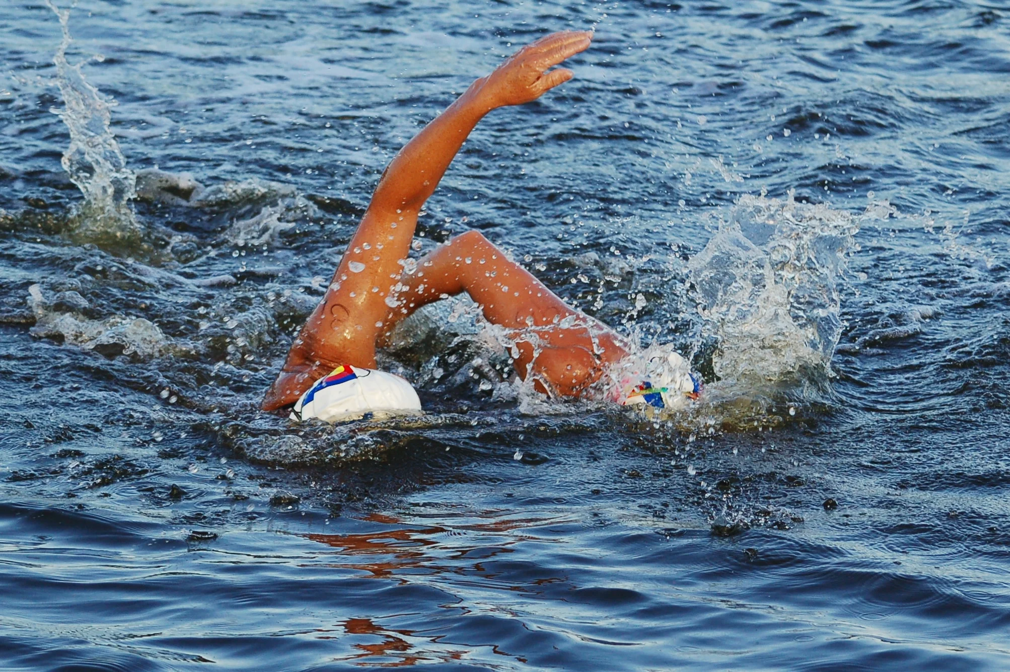 SAC 2014 (809).jpg
