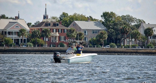 DSC_0431.png