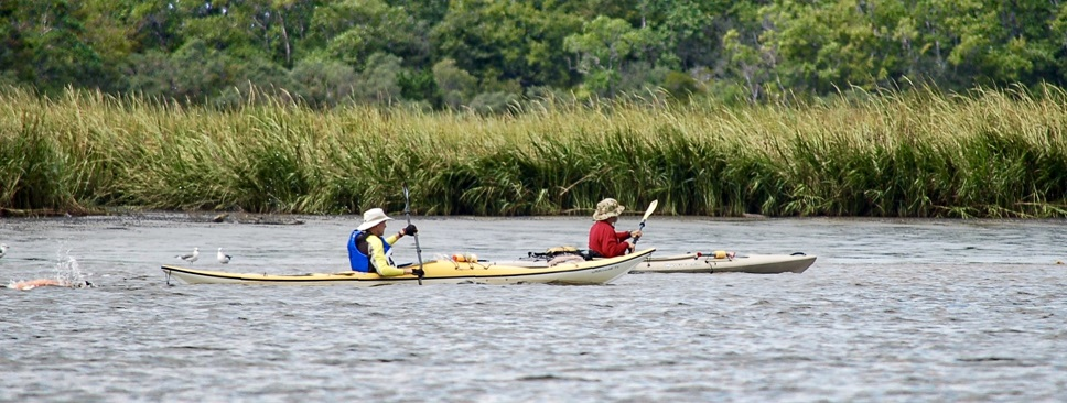 DSC_0773.png