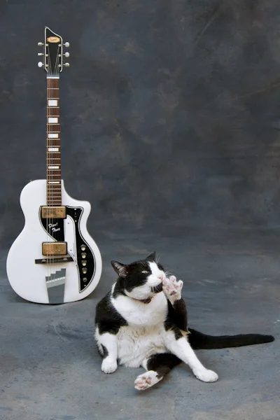 Billy with 1960s Supro