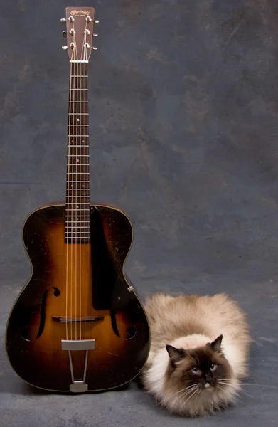 Blue and 1937 Martin R-18