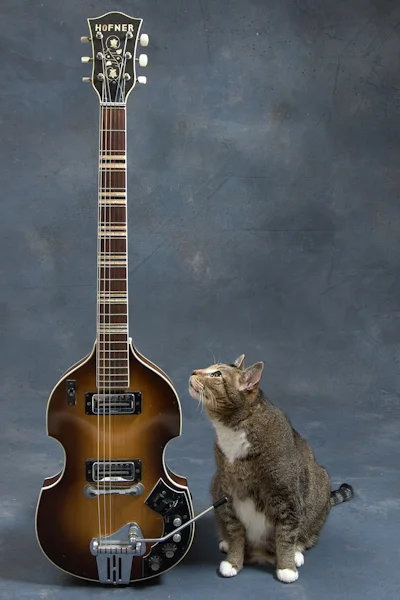 Woody and 1960's Hofner 459-VTZ