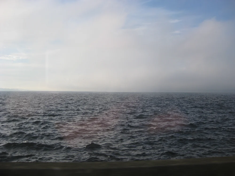 buslake-55.jpg