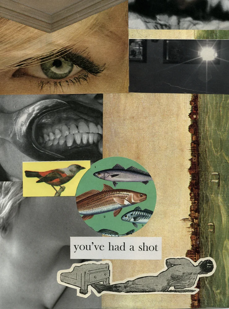 You've Had a Shot