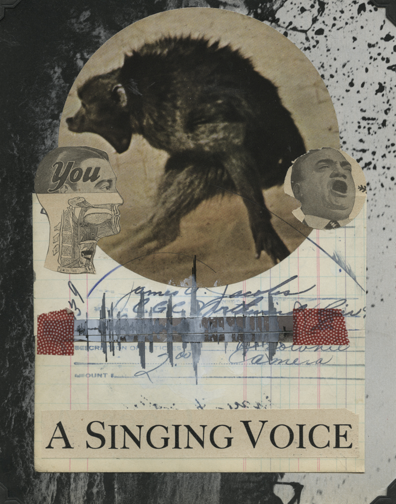 A Singing Voice
