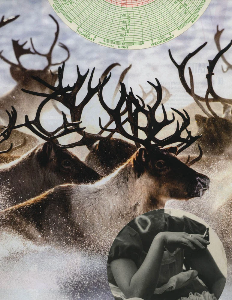 Reindeer on the Move