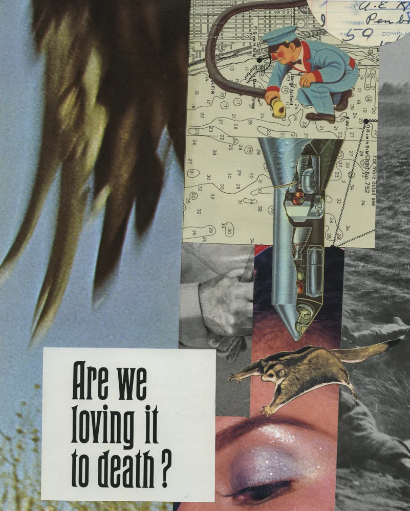 Are We Loving It to Death?