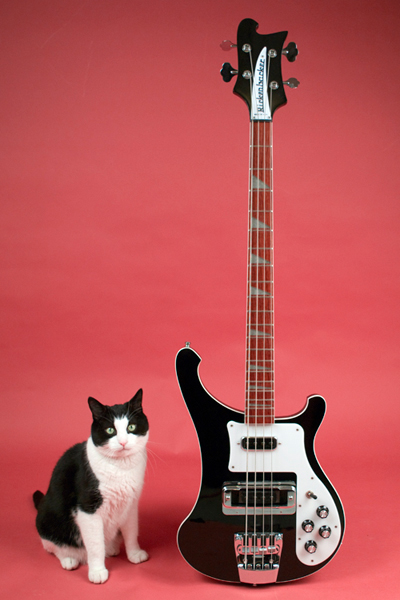 Cats and Guitars