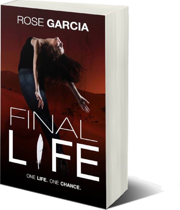 Final Life 3D.png