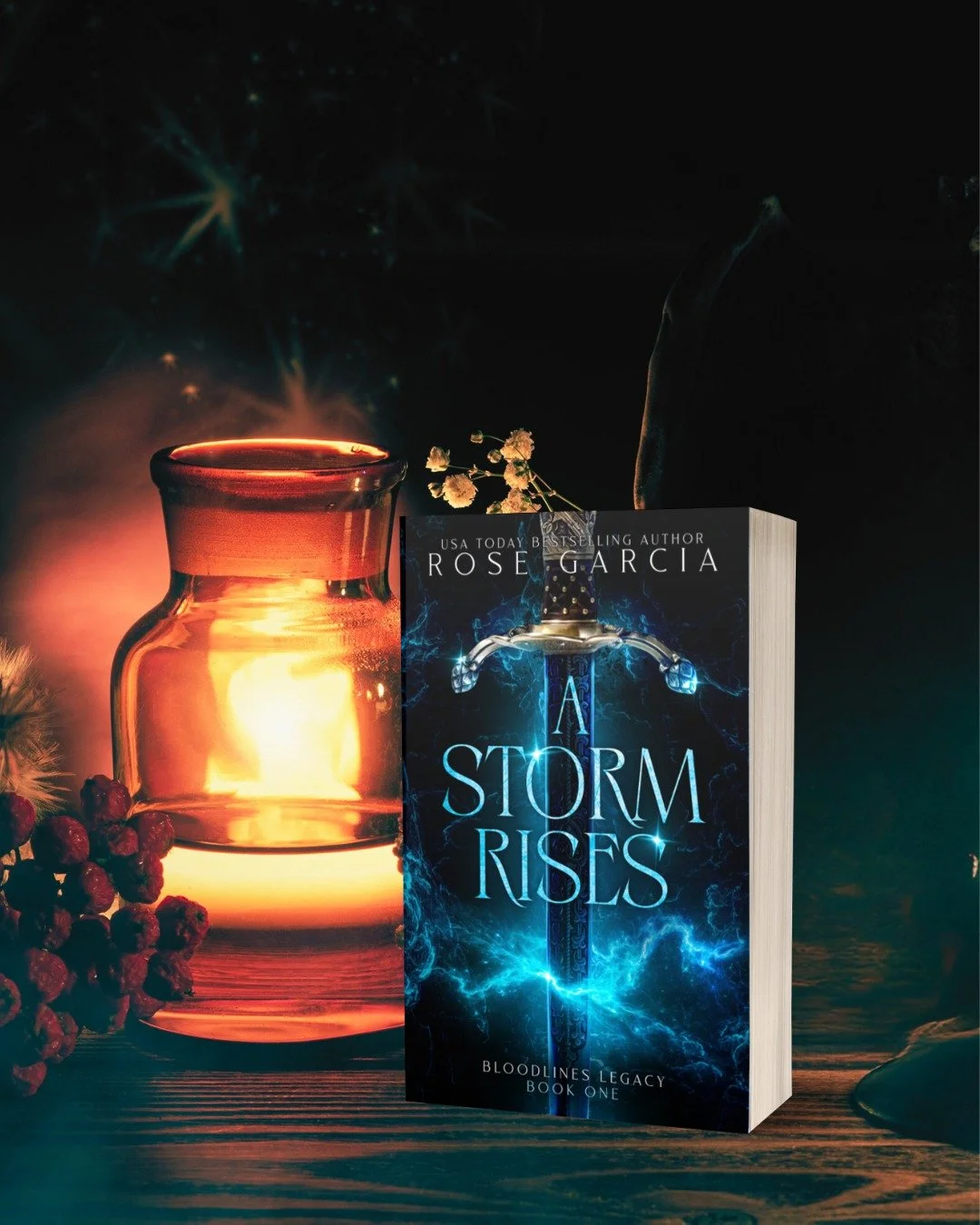 Rivals to lovers with a heaping side of BETRAYAL!

A lowborn half fae and a highborn princess collide when they face-off in the deadly royal hunt. Only one can win, and the loser faces the ultimate penalty 💀

Dive into A Storm Rises now! Link in bio