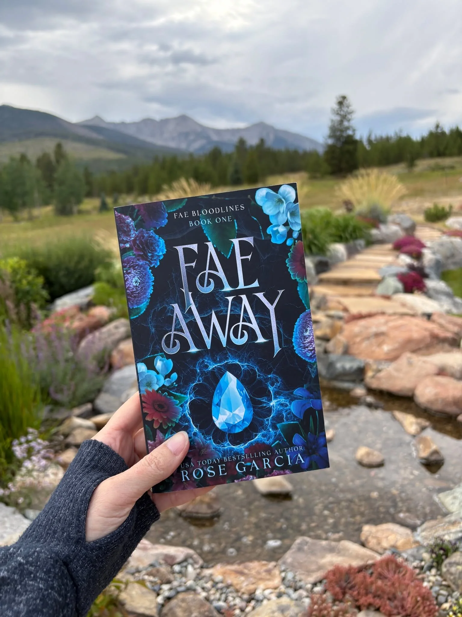 When I was in Colorado a few months ago, the backdrop seeming so fitting for Fae Away because this book is all about stepping somewhere wild, breathtaking, and impossible.

Princess Celyse has two rules she cannot break:
❌ Don&rsquo;t touch a portal.
