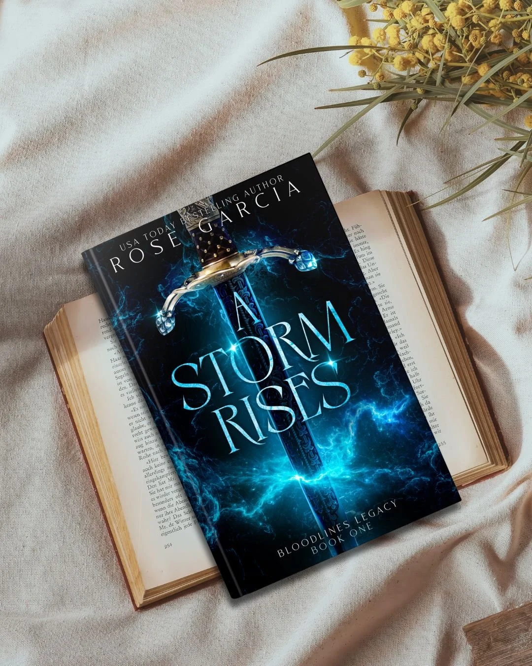 Rivals collide. Secrets unravel. And the fate of the realm may rest in the hands of two competitors who were never meant to stand together⚔️

Rivals-to-lovers-to-enemies-to-lovers
A deadly competition
Hidden magic

🔥The Bloodlines Legacy Series is f