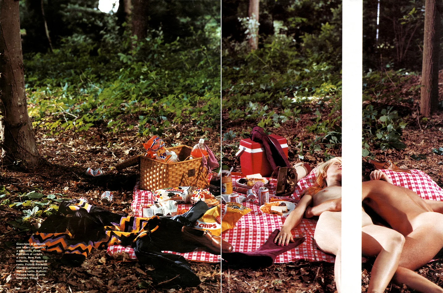 picnic.jpg