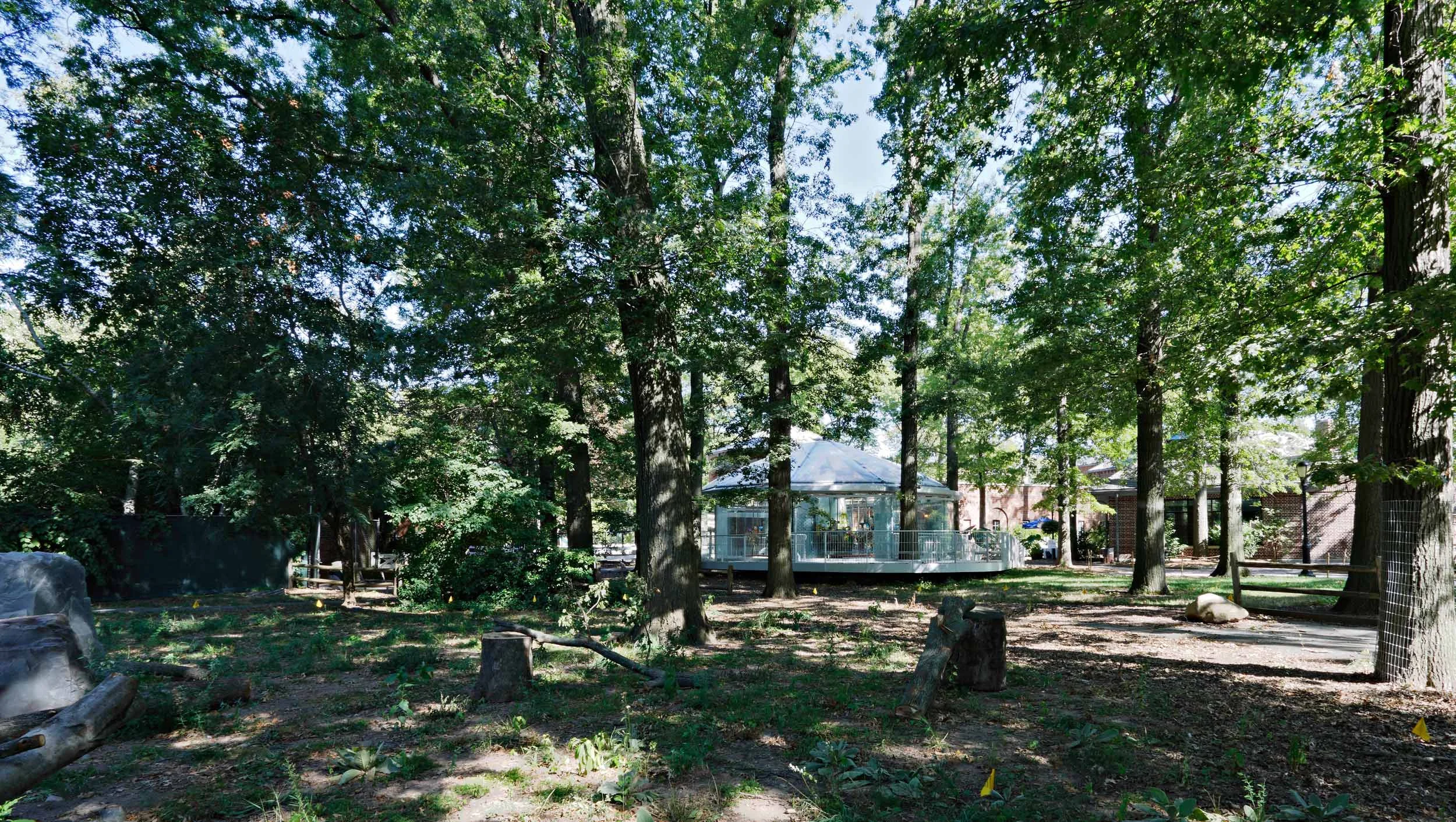 _19C7653.jpg