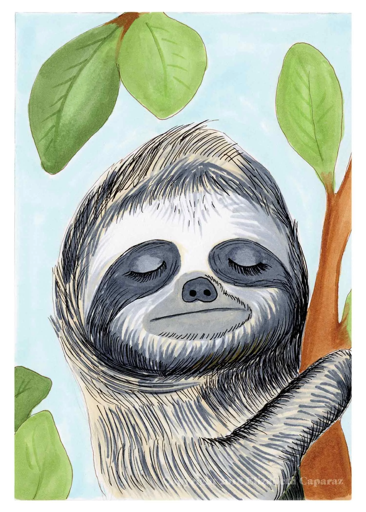 Sloth