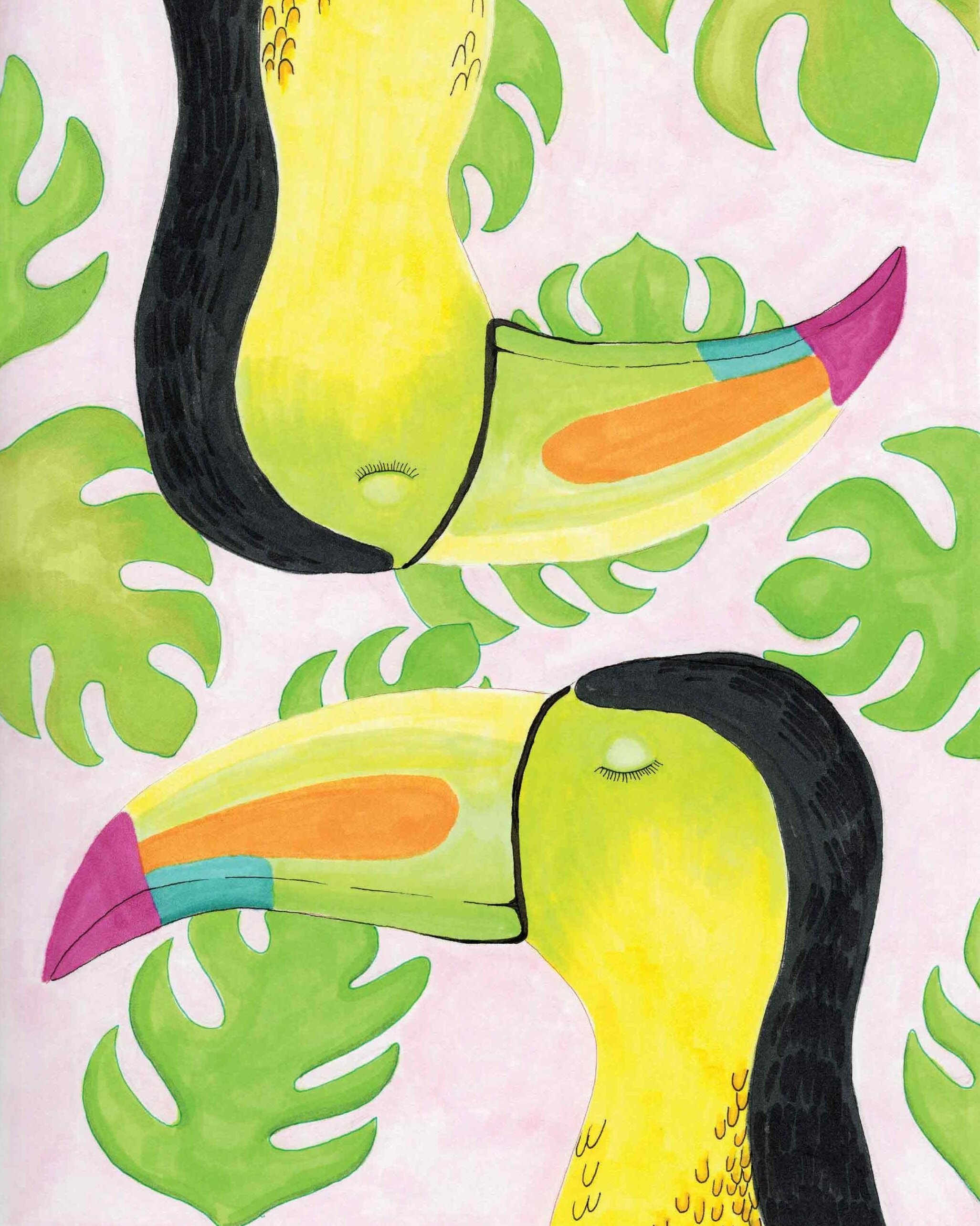 Two X Toucan