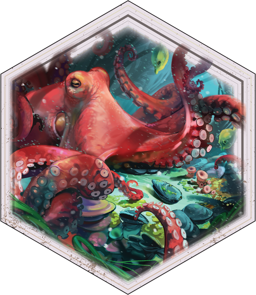 Rotated Octopus.png.png