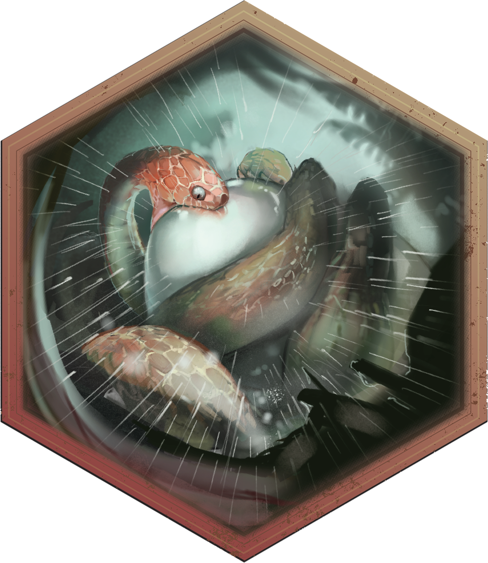 Islands_0003_Islands-Cards2_Python-Face.png