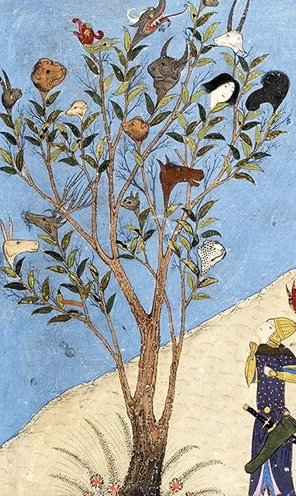 Der Waqwaq Kopie.jpg