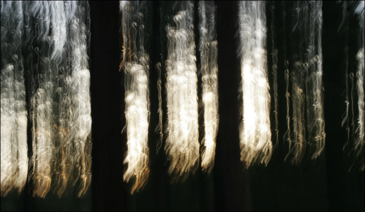 Forest Dreams 1074