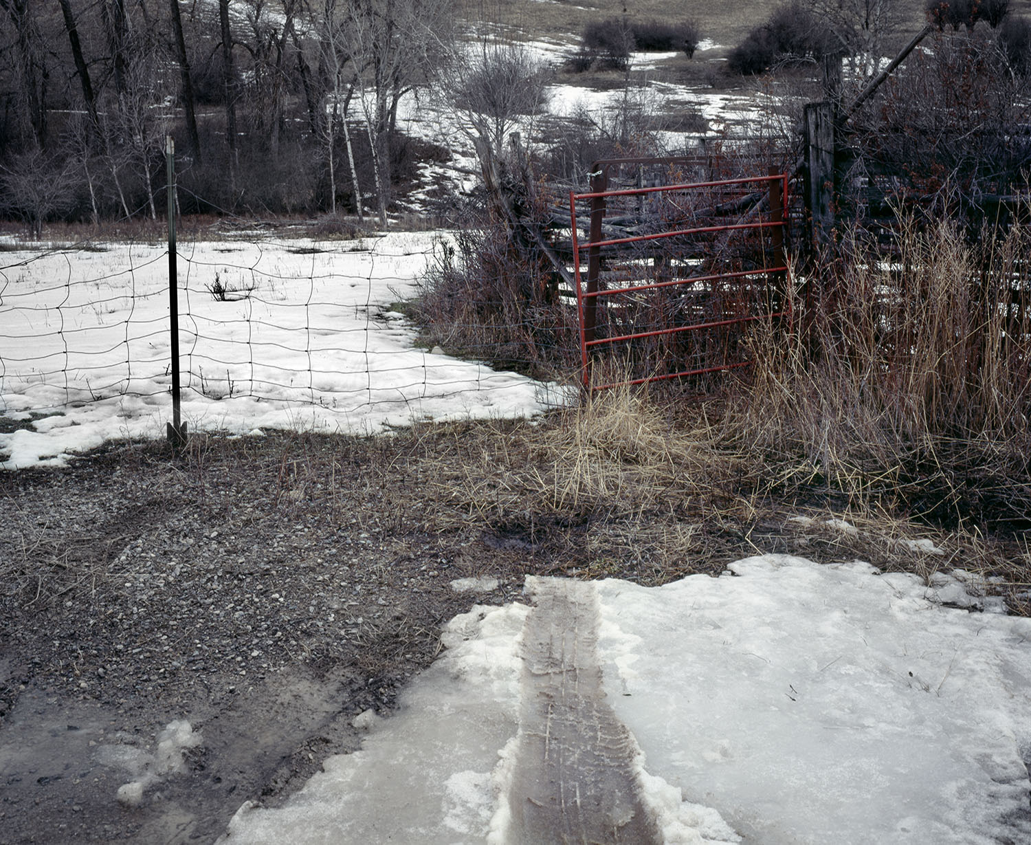Lavelle Creek Drainage, 32" X 40", archival pigment print on shiramine paper, 2008
