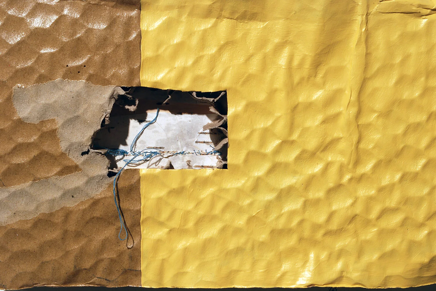 DETAIL: A Hasty Excavation and Its Resulting Scar, cardboard/latex paint/acrylic/birch bark/thread/graphite, 2014
