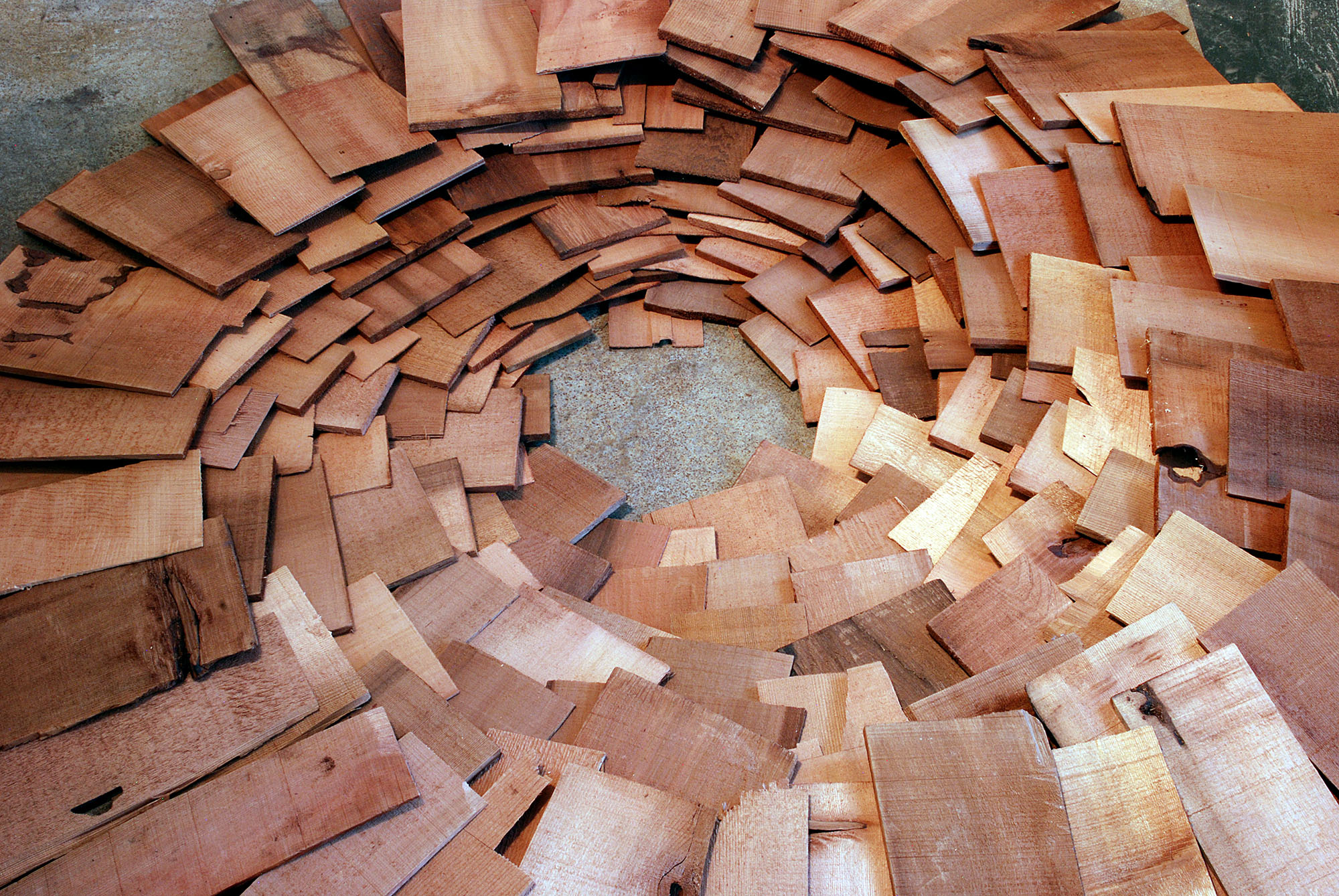 DETAIL: Aimlessly Shoring Up, cedar/plywood/latex paint/acrylic, 2015