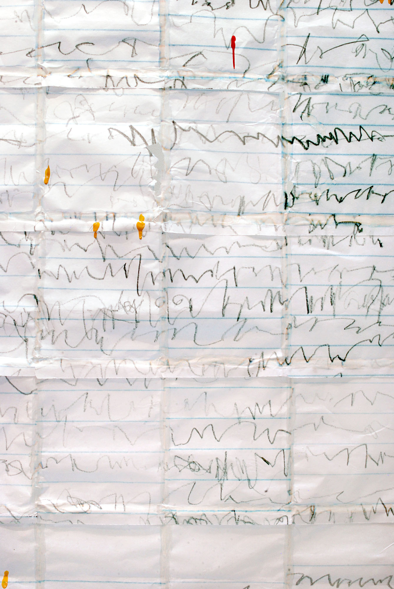 DETAIL: Chicken Scratch Memory Quilt, grass paper/ink/chicken feed/latex paint/poplar, 2016