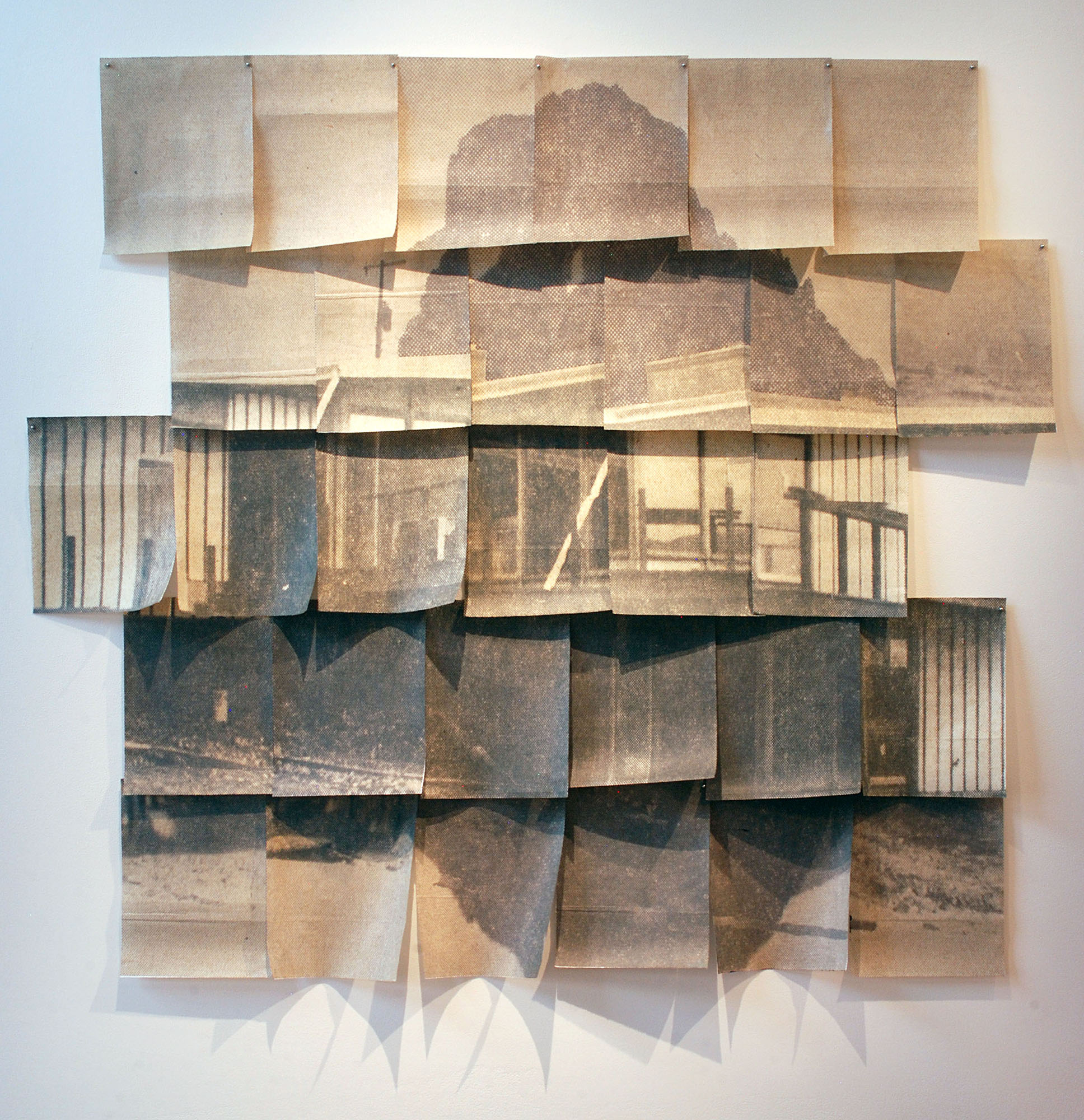 Mid-Century Modern (Two) Medicine, 53" X 56 1/2", grass paper/ink, 2015