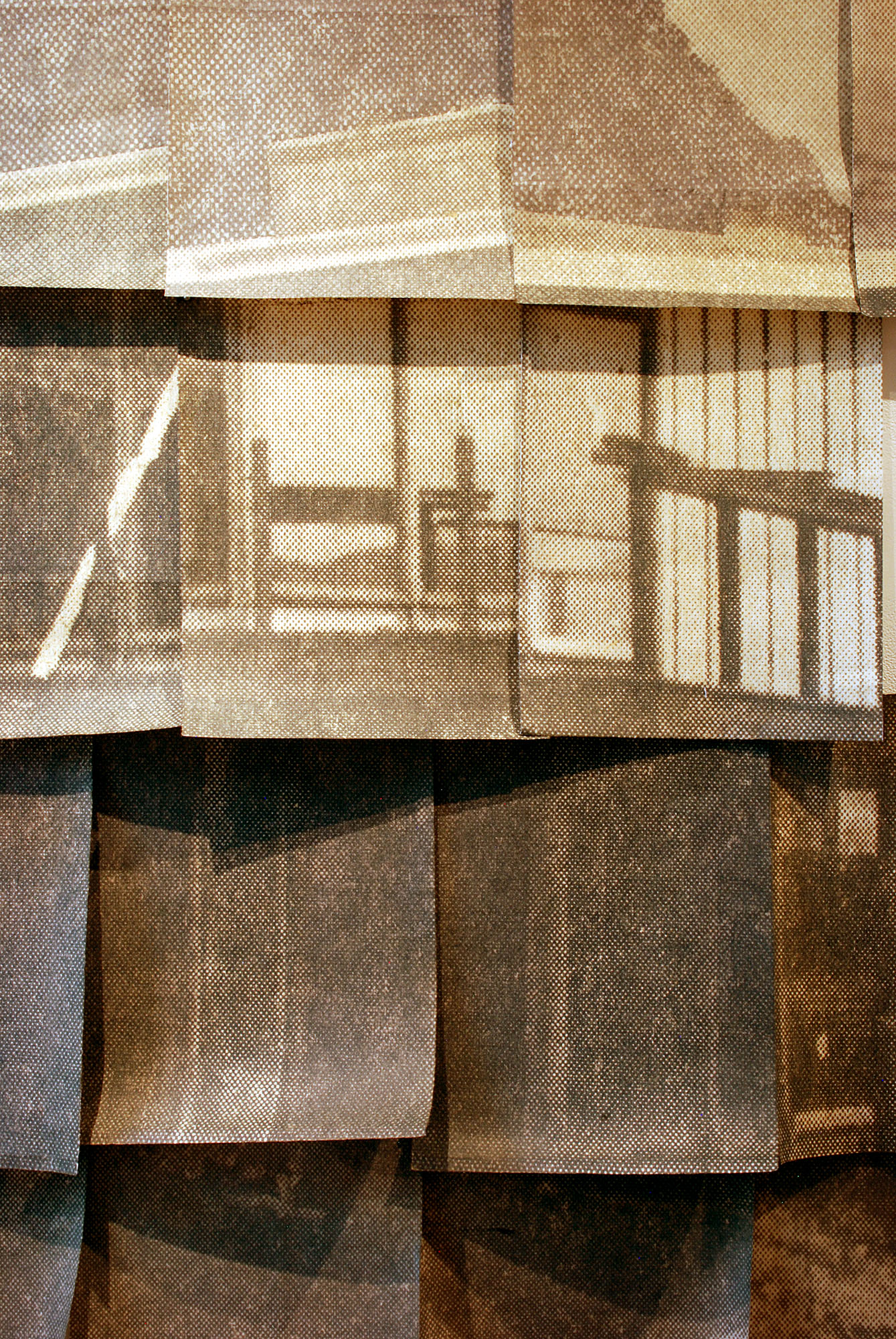 DETAIL: Mid-Century Modern (Two) Medicine, grass paper/ink, 2015