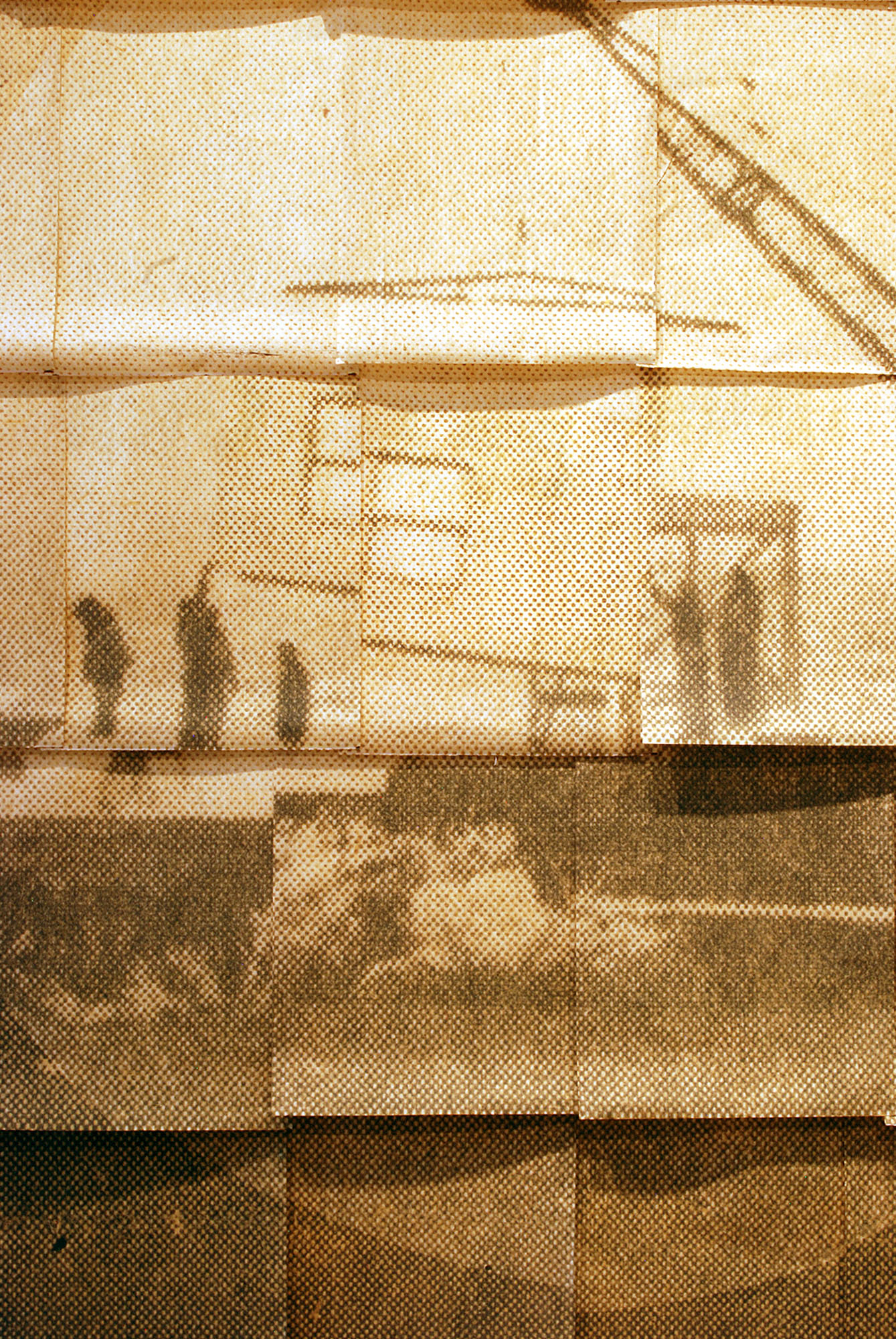 DETAIL: The Other Movable Wall, grass paper/ink, 2016