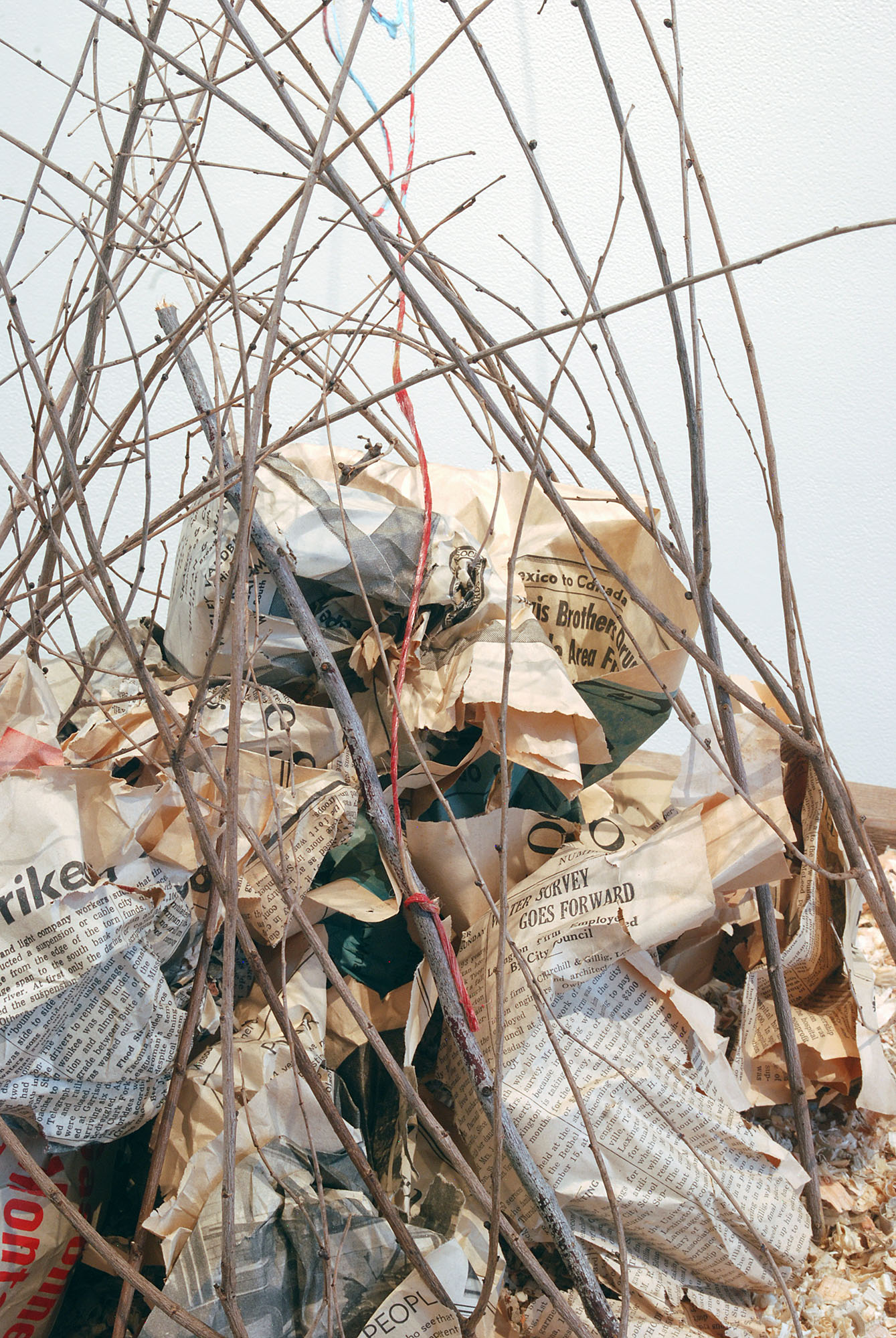 DETAIL: From the Bottom on Down, wood/wood chips/newspaper/branches/twine/graphite/kozo-shi paper/nail/latex paint, 2016