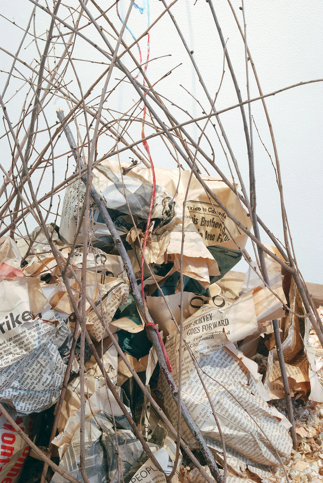 DETAIL: From the Bottom on Down, wood/wood chips/newspaper/branches/twine/graphite/kozo-shi paper/nail/latex paint, 2016