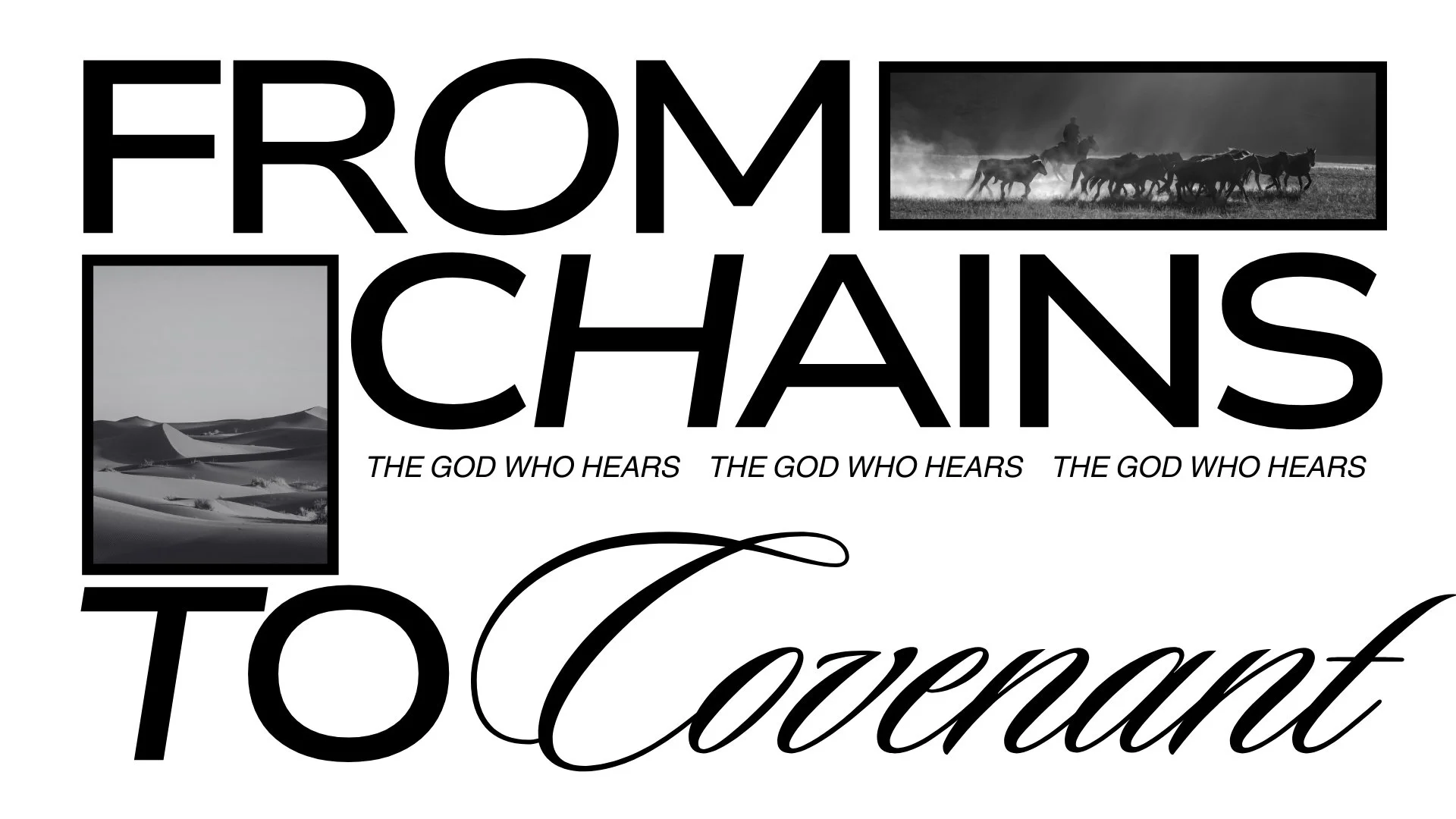 YOUTUBE GRAPHIC-8.jpg