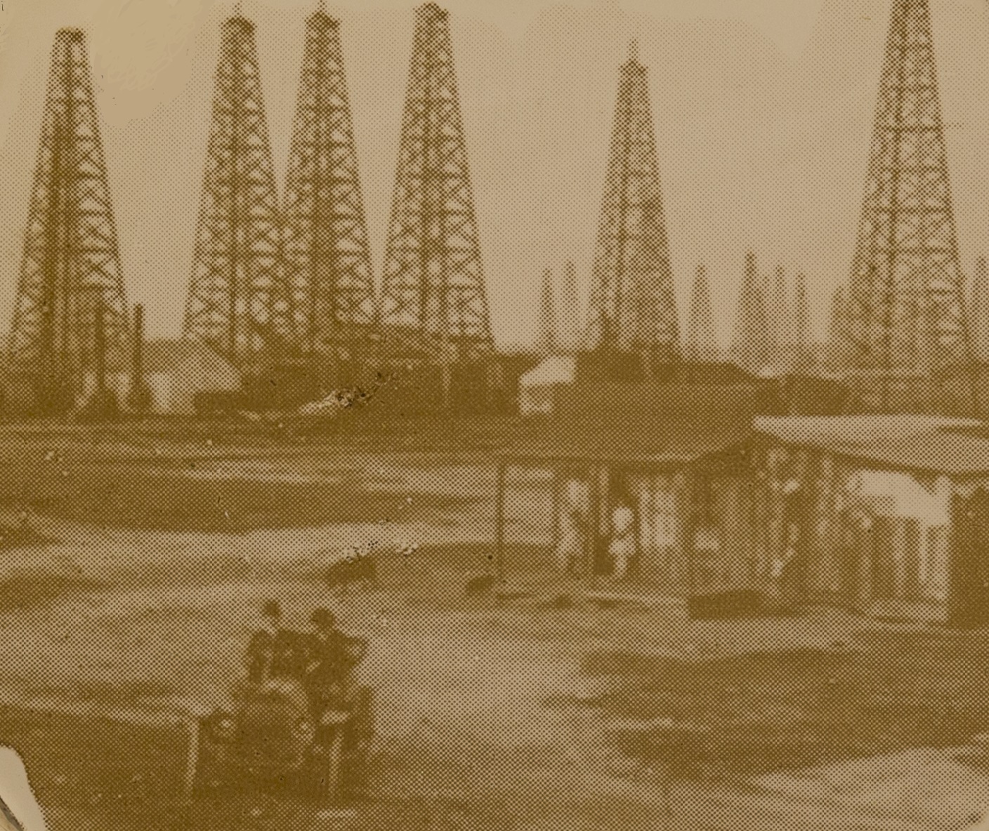 THE RISE OF OIL